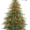 Mendocino Fir 9 Feet