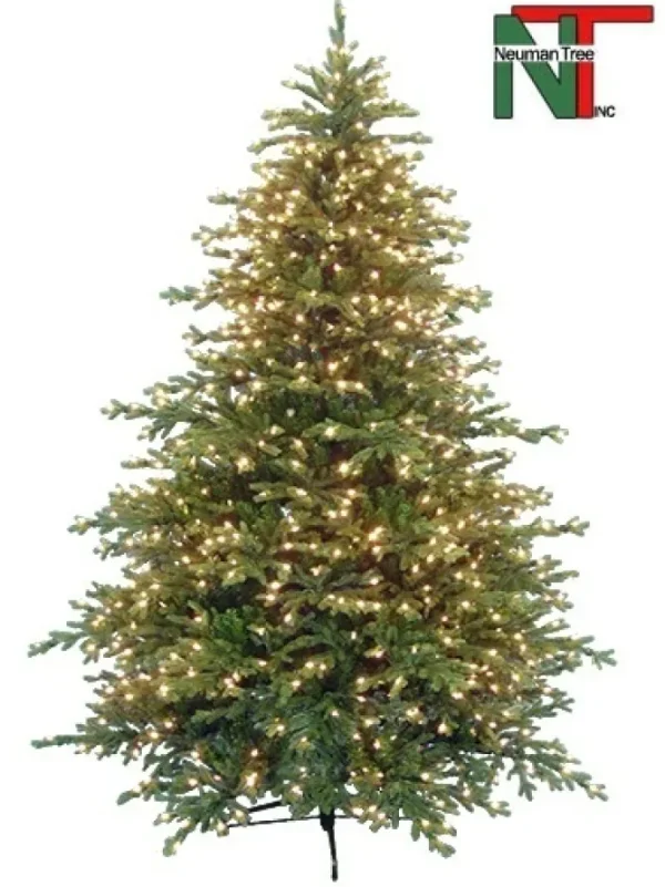 Mendocino Fir 9 Feet
