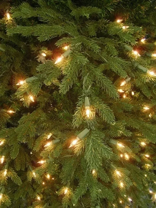 Mendocino Fir 9 Feet