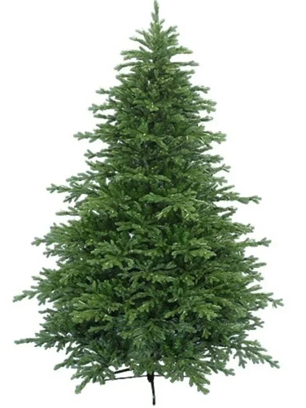 Mendocino Fir 9 Feet