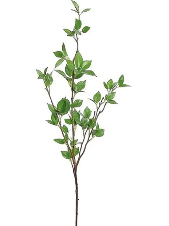 mini_birch_leaf__in_green_0.webp Mini Birch Leaf 39 in. Green