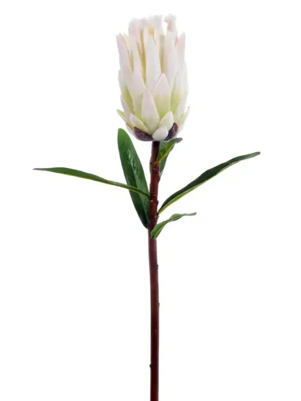 Mink Protea 29 in. White