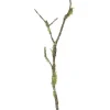 Mossy Stick 48 in. Green/Brown