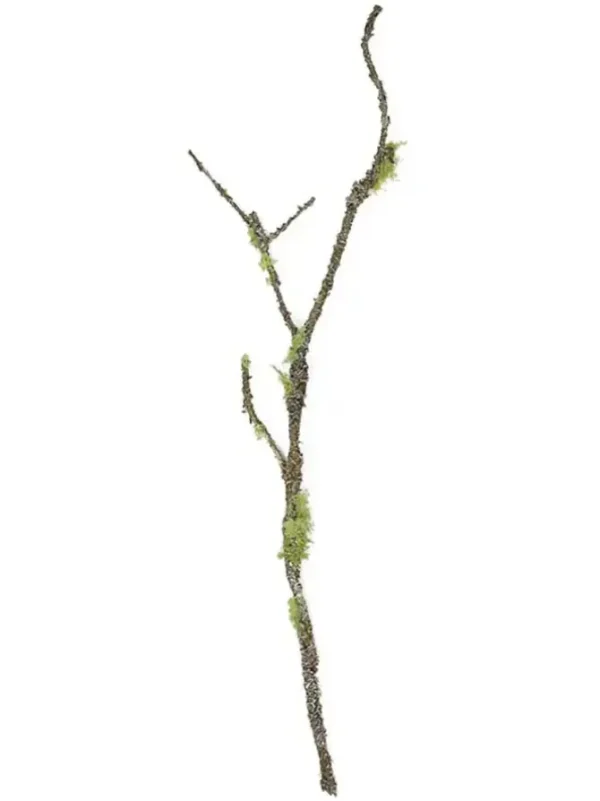 Mossy Stick 48 in. Green/Brown