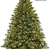 Mountain Fir LED 5 FT