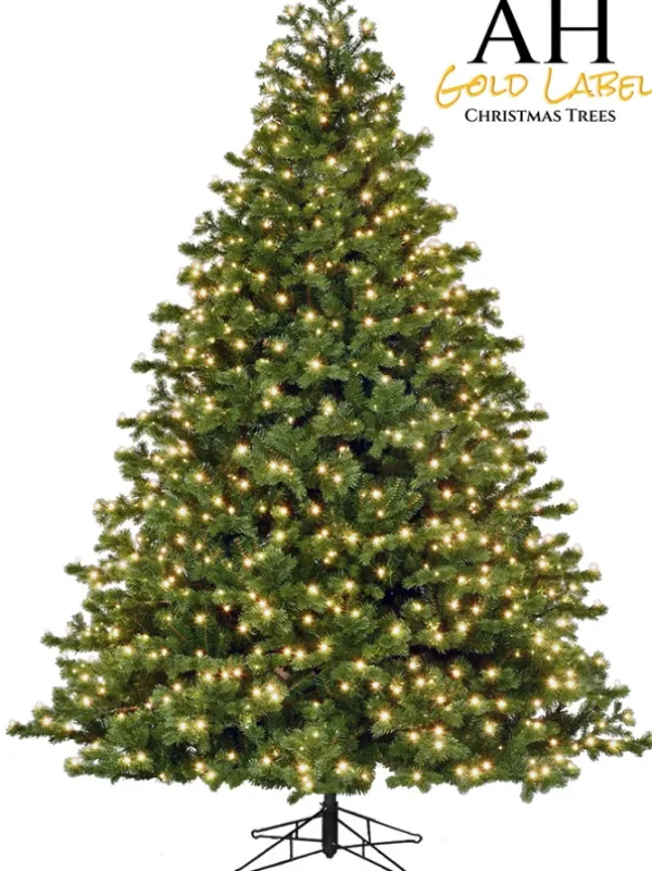 Mountain Fir LED 5 FT