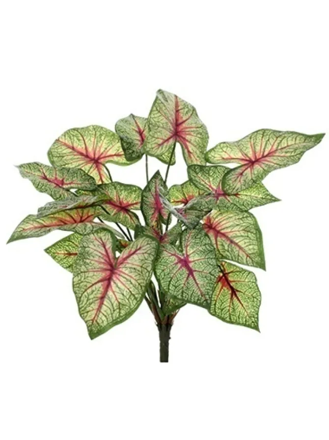 natural_touch_calladium___0.webp Natural Touch Calladium 13 in.