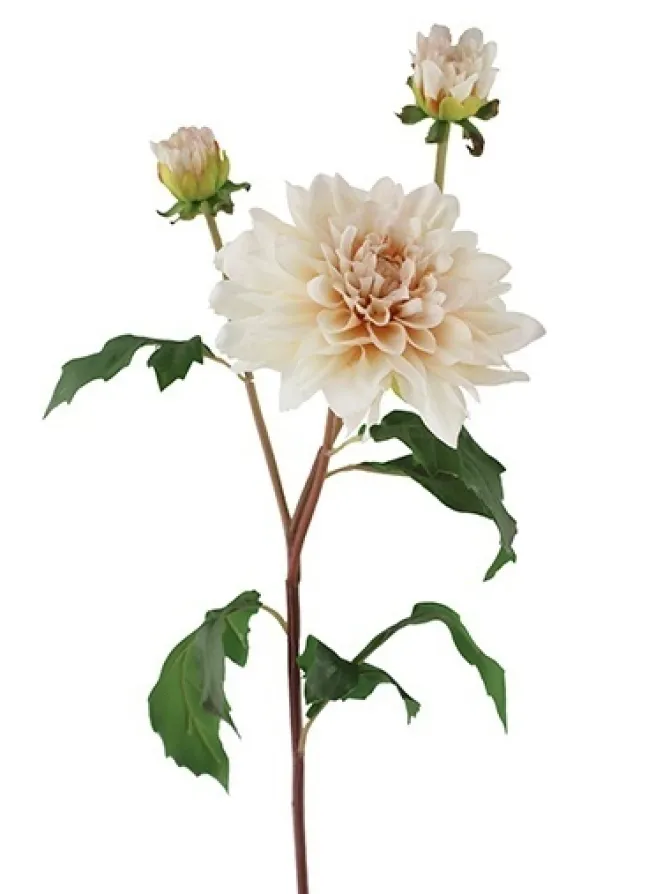 natural_touch_dahlia__in__0.webp Natural Touch Dahlia 22.5 in. Blush