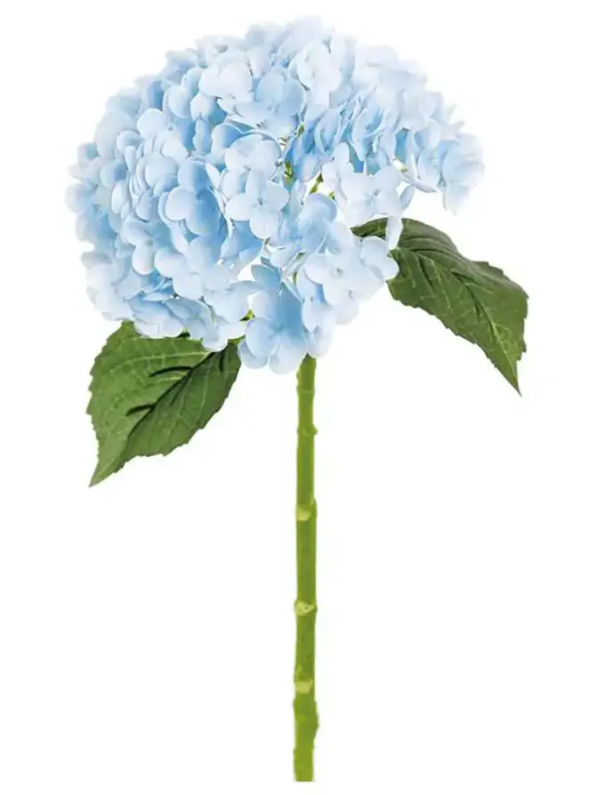 natural_touch_hydrangea___0-1.webp Natural Touch Hydrangea 20 in. Blue