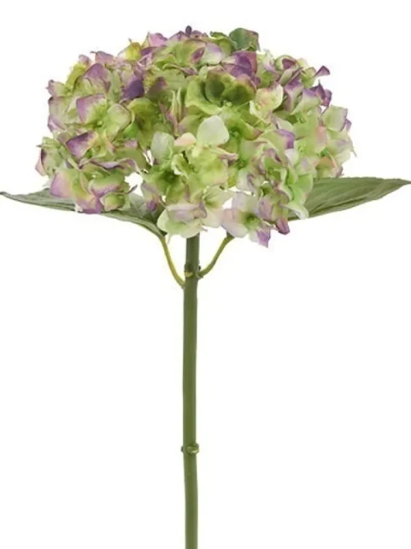 Natural Touch Hydrangea 18 in. Green / Purple