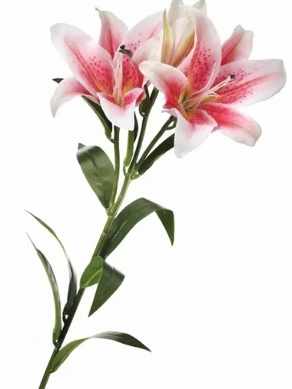 Natural Touch Lily 34 in. Pink / White