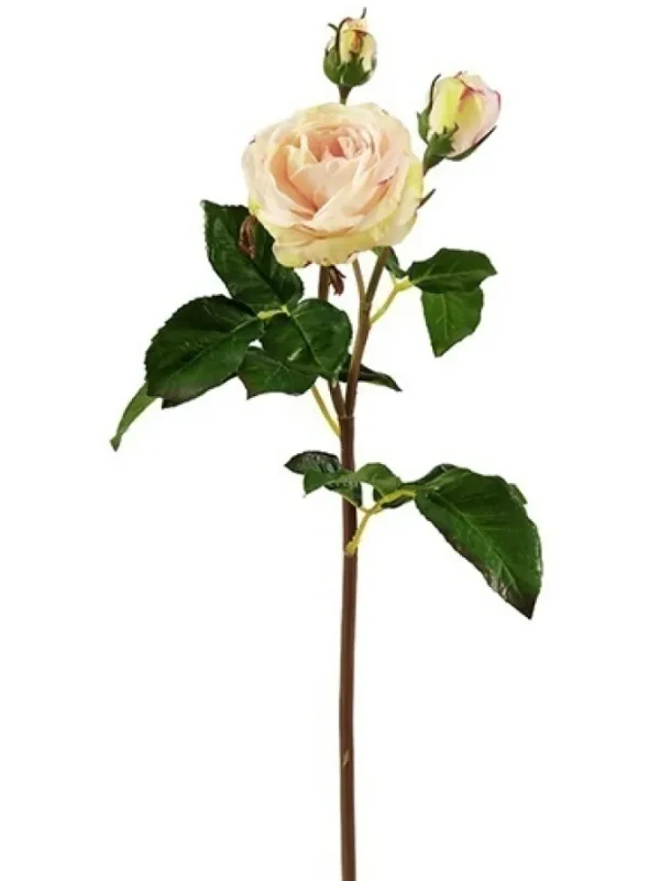 Natural Touch Rose 21.5 in. Champagne