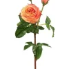 Natural Touch Rose 21.5 in. Yellow / Peach