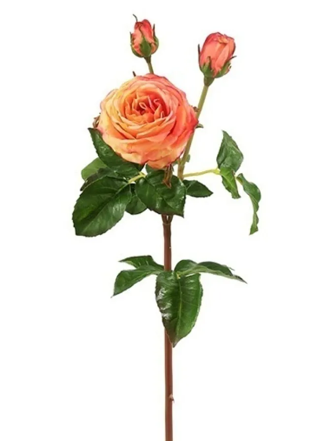 natural_touch_rose__in_ye_0-1.webp Natural Touch Rose 21.5 in. Yellow / Peach