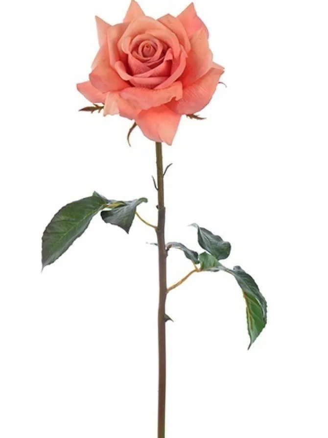 natural_touch_rose_dutche_0-3.webp Natural Touch Rose Dutchess Open 20 in. Deep Salmon