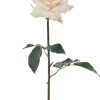 Natural Touch Rose Dutchess Open 20 in. Beige