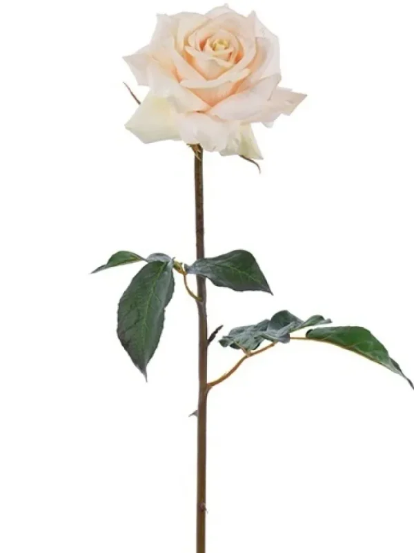Natural Touch Rose Dutchess Open 20 in. Beige
