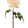 Natural Touch Rose Westminster 20.5 in. Champagne