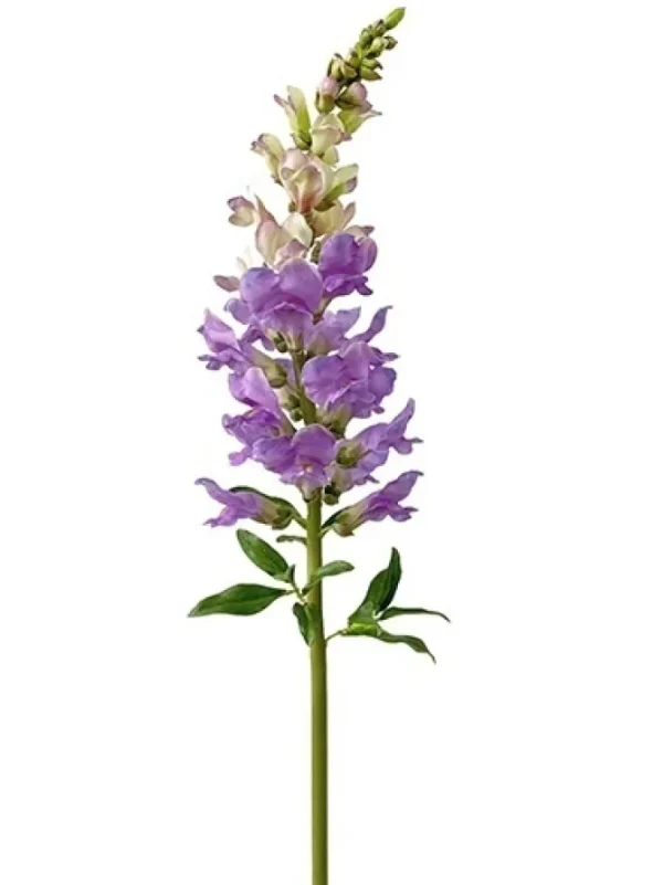 Natural Touch Snapdragon 30 in. Purple