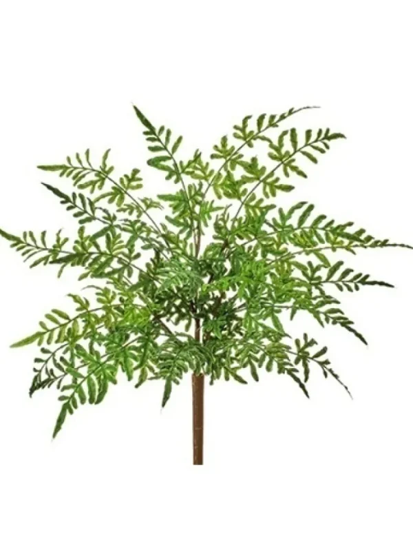 Natural Touch Winged Fern Bush 18 in.