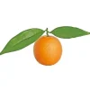 Orange w/ Leaves 4.5 in.