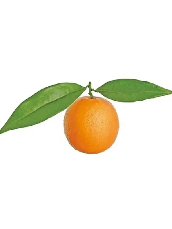 Orange w/ Leaves 4.5 in.