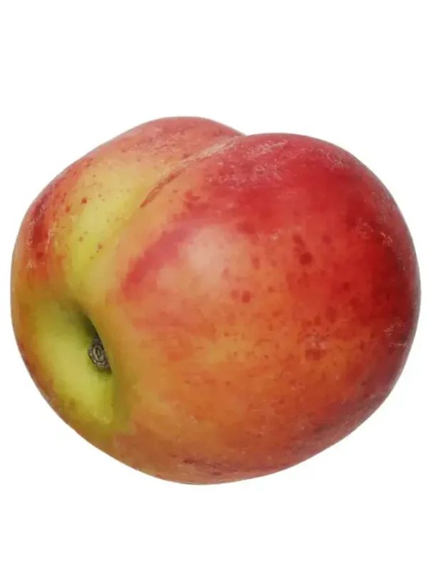 Peach 3.5 in.