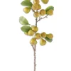 Pear Stem 30 in.
