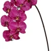 Phalaenopsis Spray 37.5 in. Fuchsia