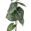Philo Gloriosa 28 in.
