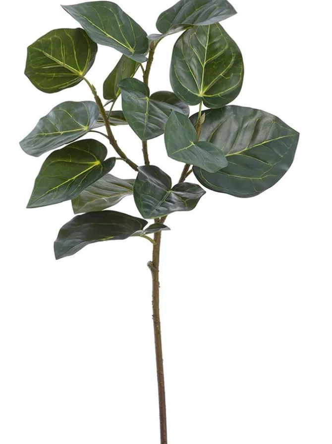 philo_melano_leaf_spray___0.webp Philo Melano Leaf Spray 29 in.