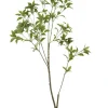 Pieris Japonica Branch 59 in. Green