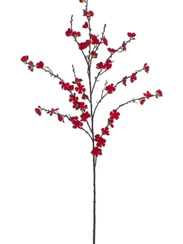 Plum Blossom 50 in. Red