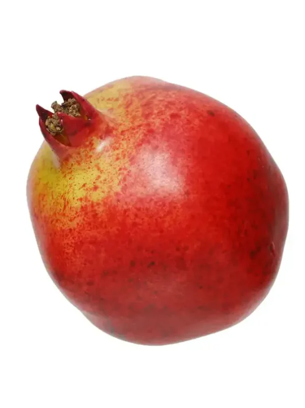 Pomegranate 3.5 in.