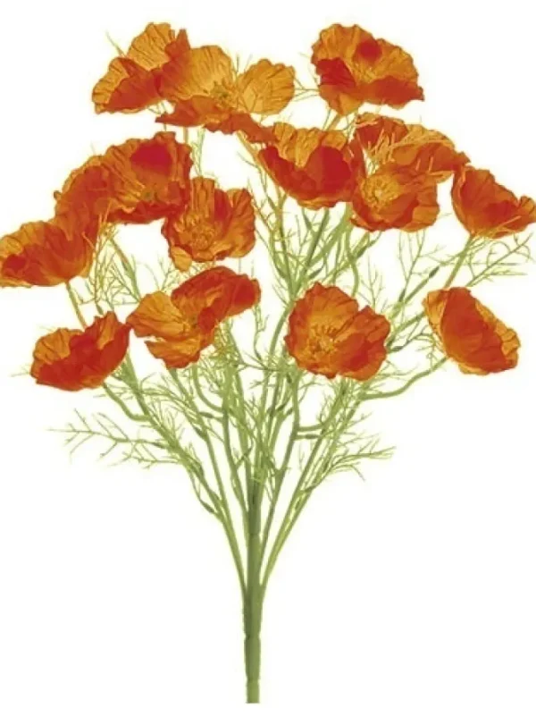 Poppy Bush 21.5 in. Orange