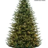 Princeton Fraser LED 7.5 FT