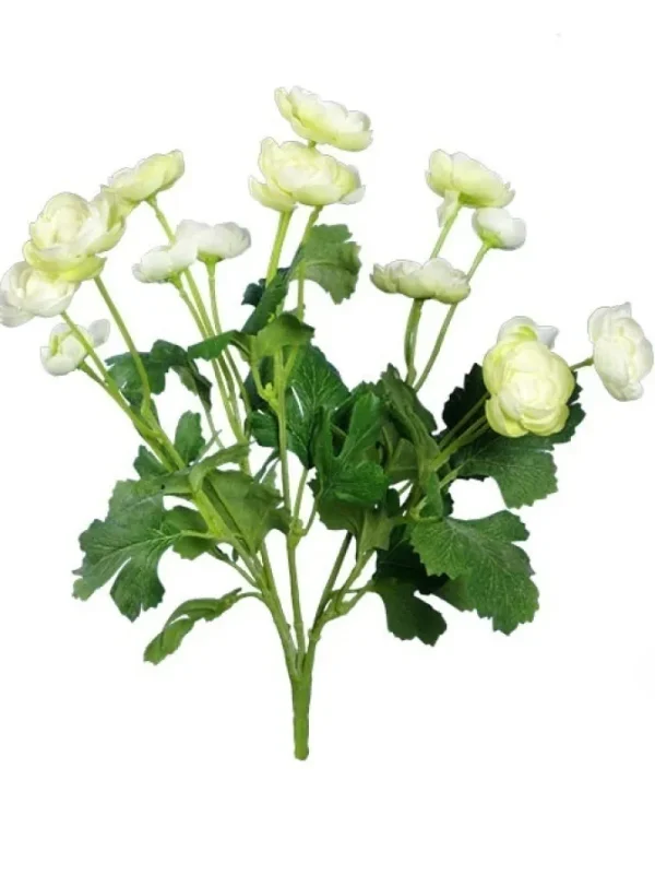 Ranunculus Bush 13 in. Cream