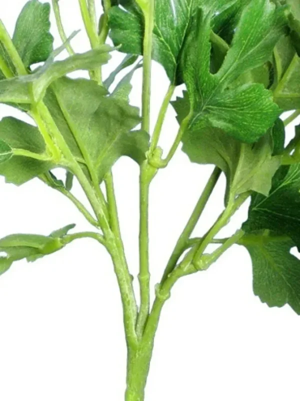 Ranunculus Bush 13 in. Cream