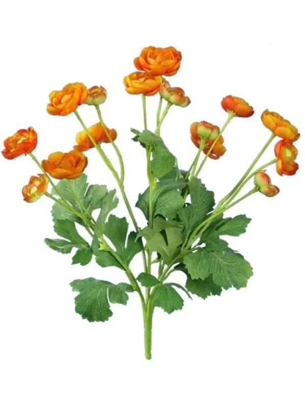 Ranunculus Bush 13 in. Orange