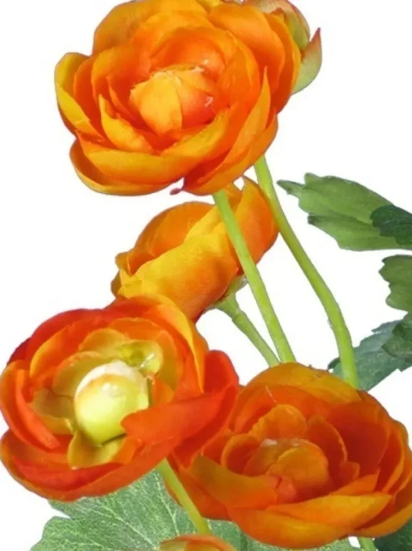 Ranunculus Bush 13 in. Orange