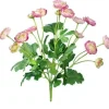 Ranunculus Bush 13 in. Pink