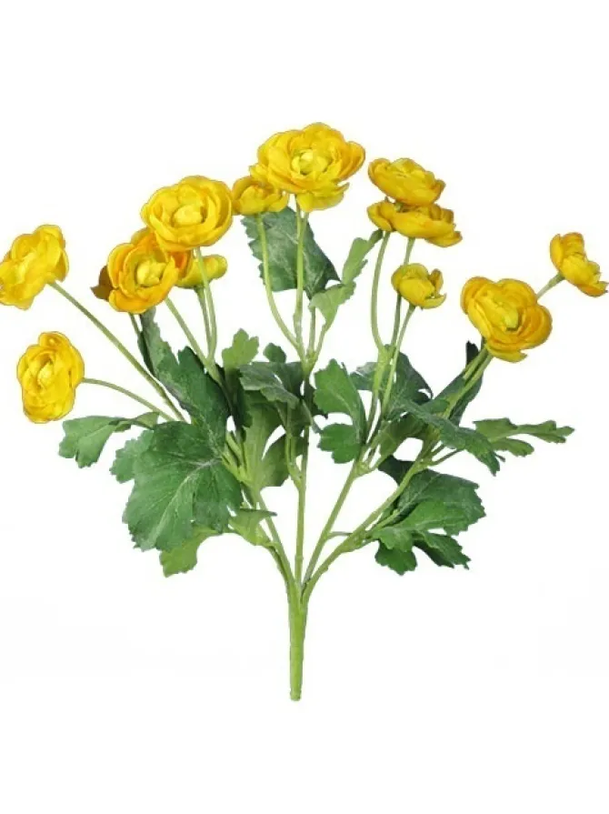 ranunculus_bush__in_yello_0.webp Ranunculus Bush 13 in. Yellow