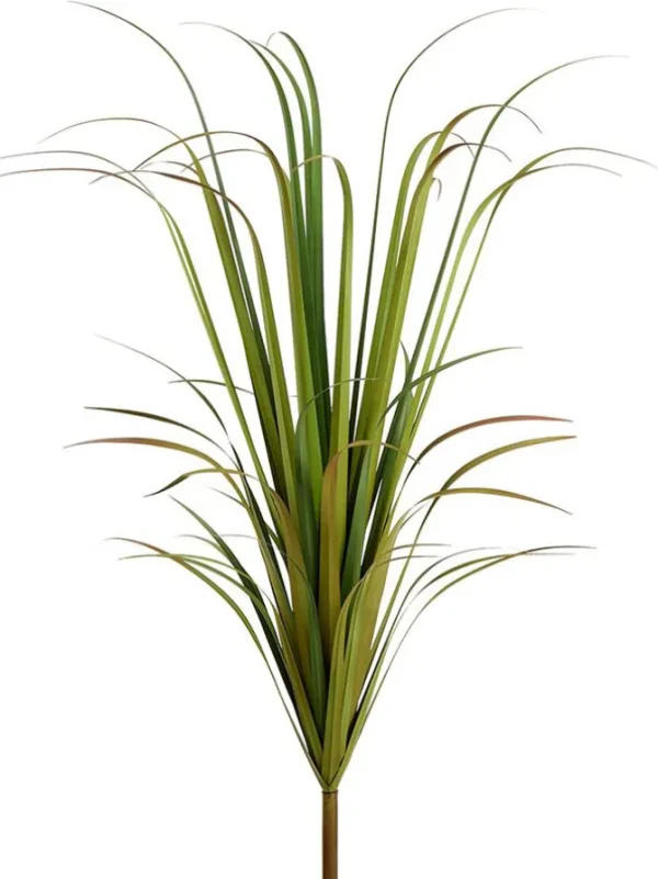 Reed Grass Bush 67 in. Green
