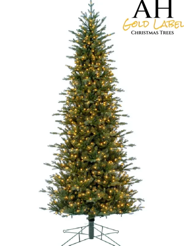 Ridgeline Fir LED 12 Feet