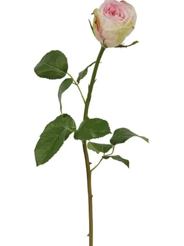 Rose Bud 19.5 in. Pink / White