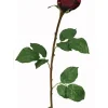 Rose Bud 19.5 in. Red