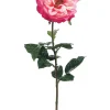 Rose Orlane 25.5in Beauty
