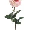 Rose Orlane 25.5in Cream/Pink