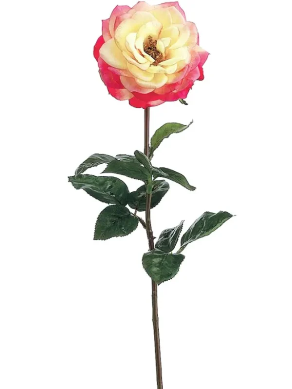 Rose Orlane 25.5in Gold/Beauty