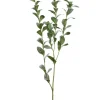 Ruscus Hypophyllum Spray 47 in.